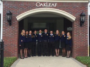 Oakleaf